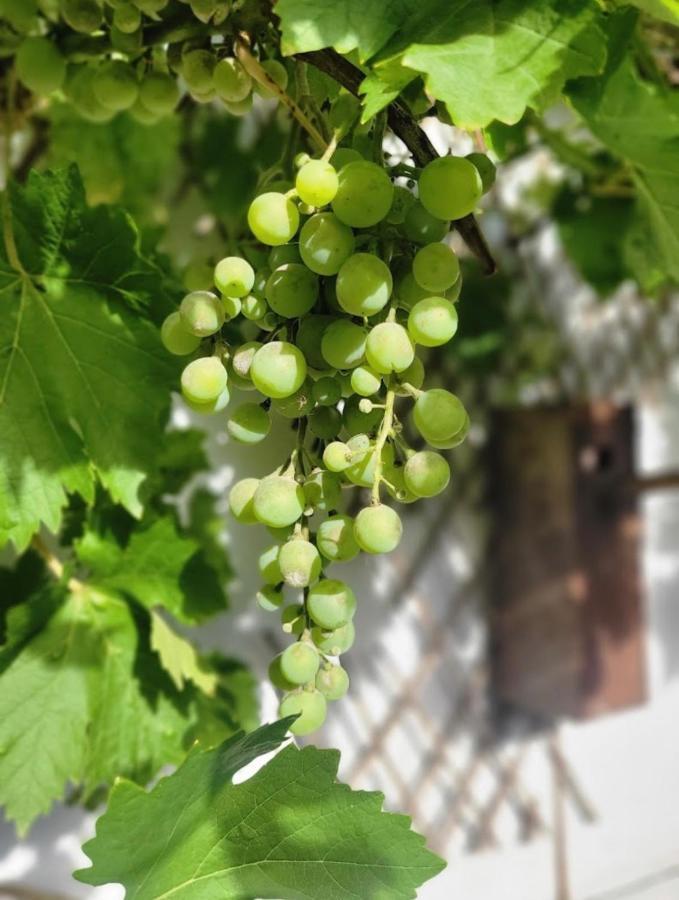 Blicourt Les Gites De L'Herperie מראה חיצוני תמונה